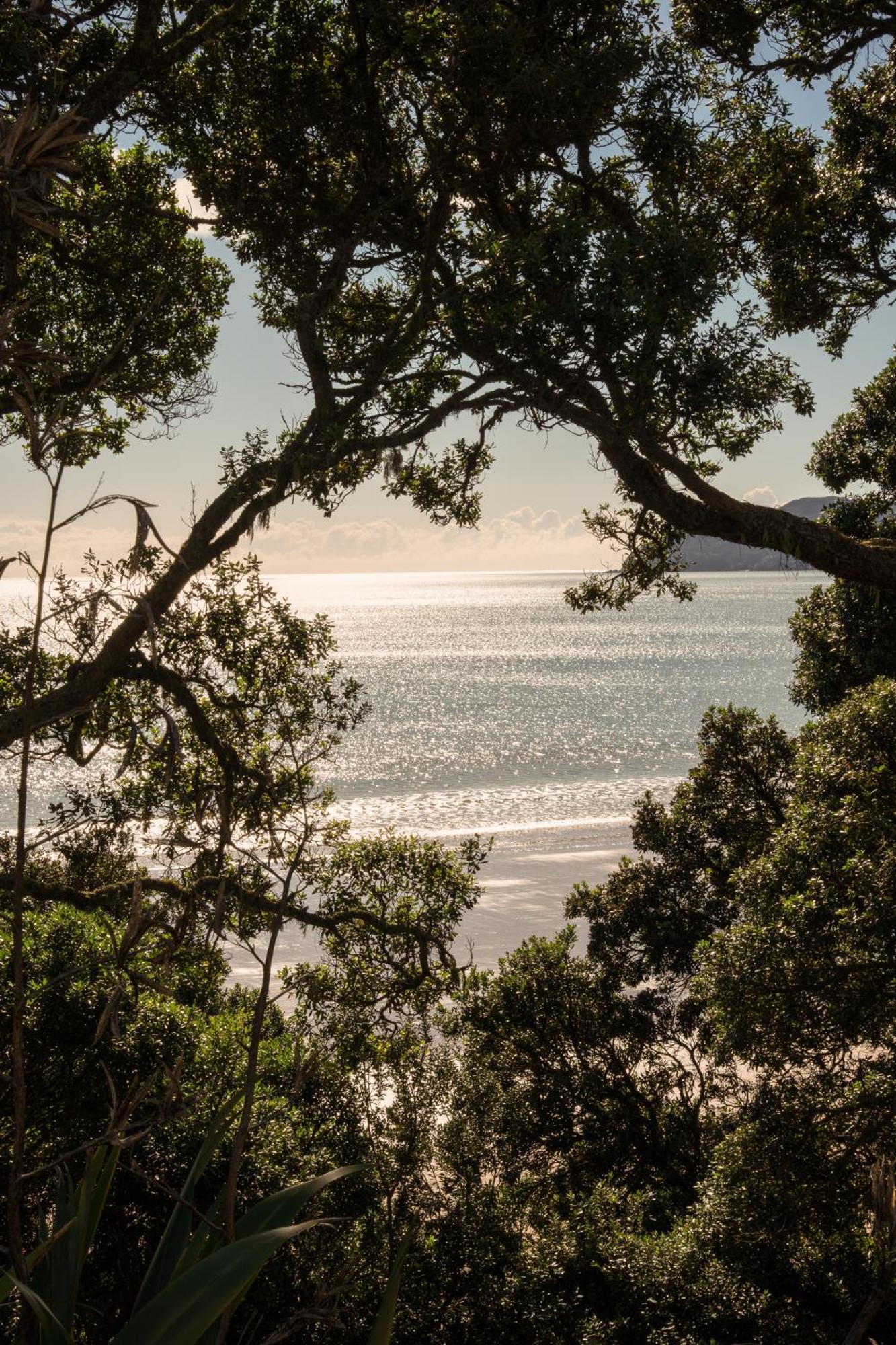 Sunlit Bay Villas Coopers Beach Exteriör bild